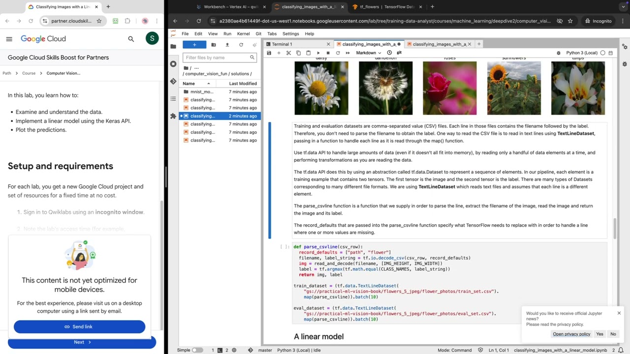 Classifying Images with a Linear Model