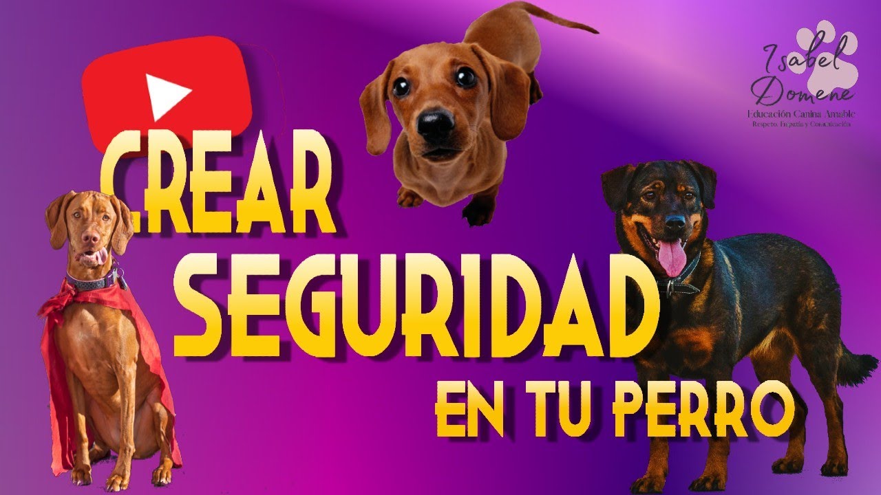 Darle Seguridad a Tu Perro - Ejercicio de Integración Sensorial sin guiado (Isabel Domene)
