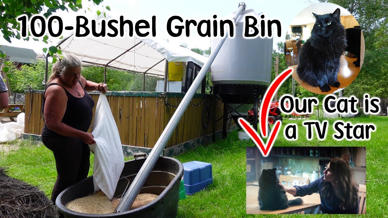 Filling our Grain Bin - Water Management - Our Cat Koda is in TV Show