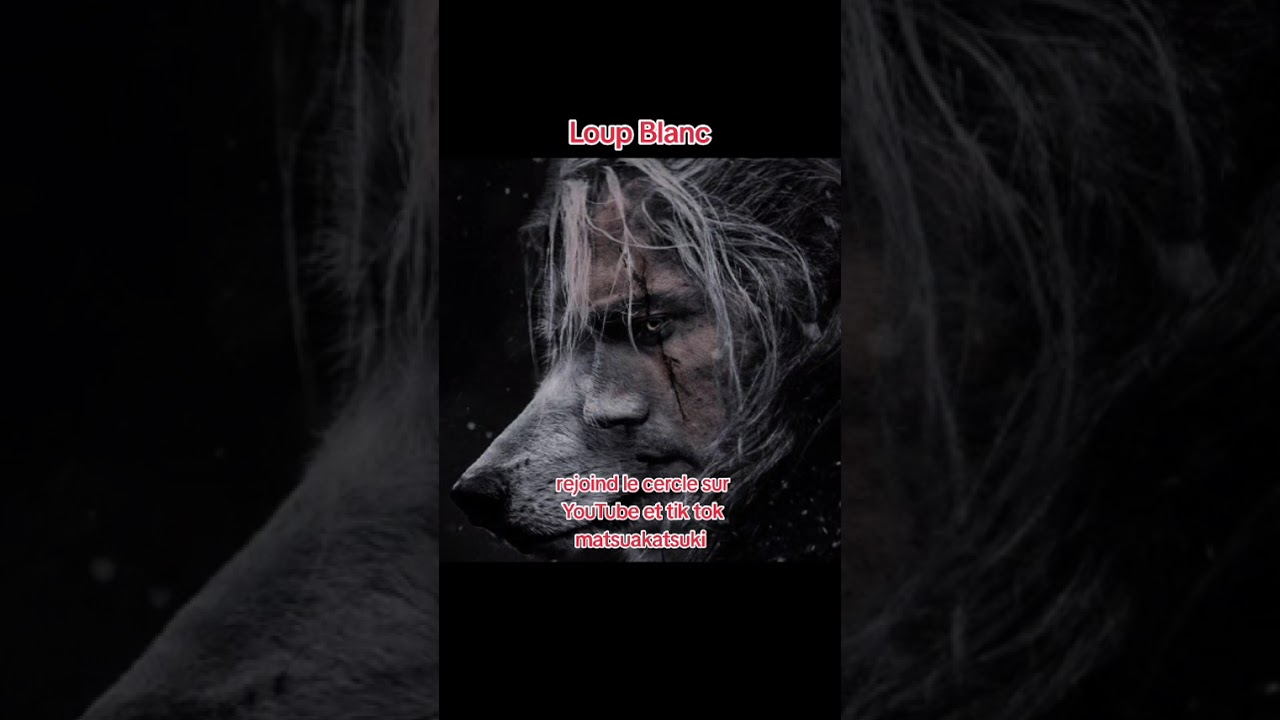 Loup Blanc (officiel)#france  #rap #rapquebecois #quebec #rapfrancais 