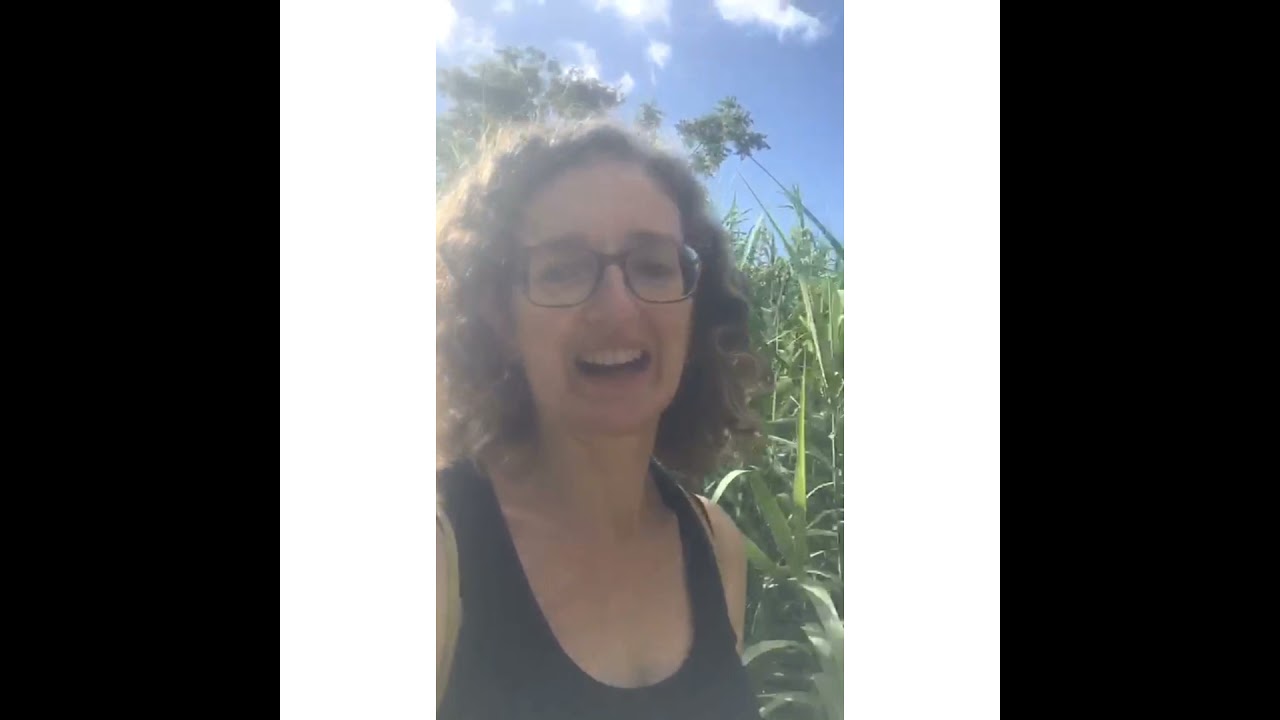 Educare il cane senza coercizione, le parole di chi si affida a me - il mio cane parla - Mirko Darar