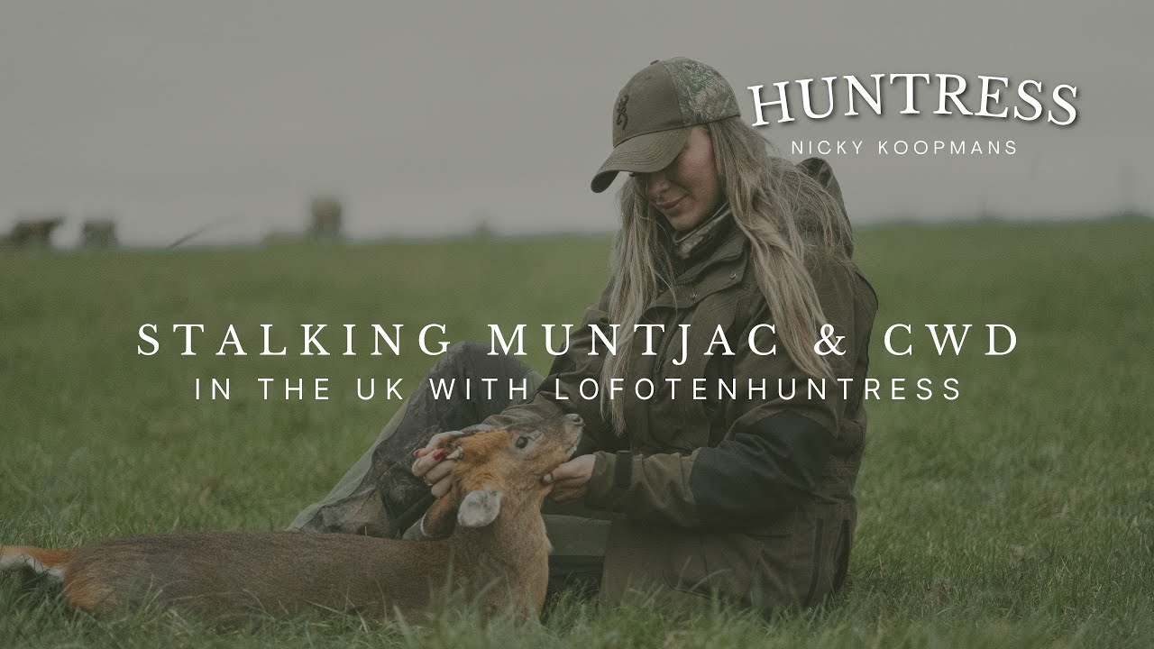 Stalking Muntjac & Chinese Water Deer in the UK with Lofotenhuntress