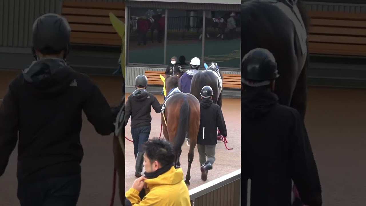 アイワナアイドル口から出血してません？#shorts #競馬 #パドック