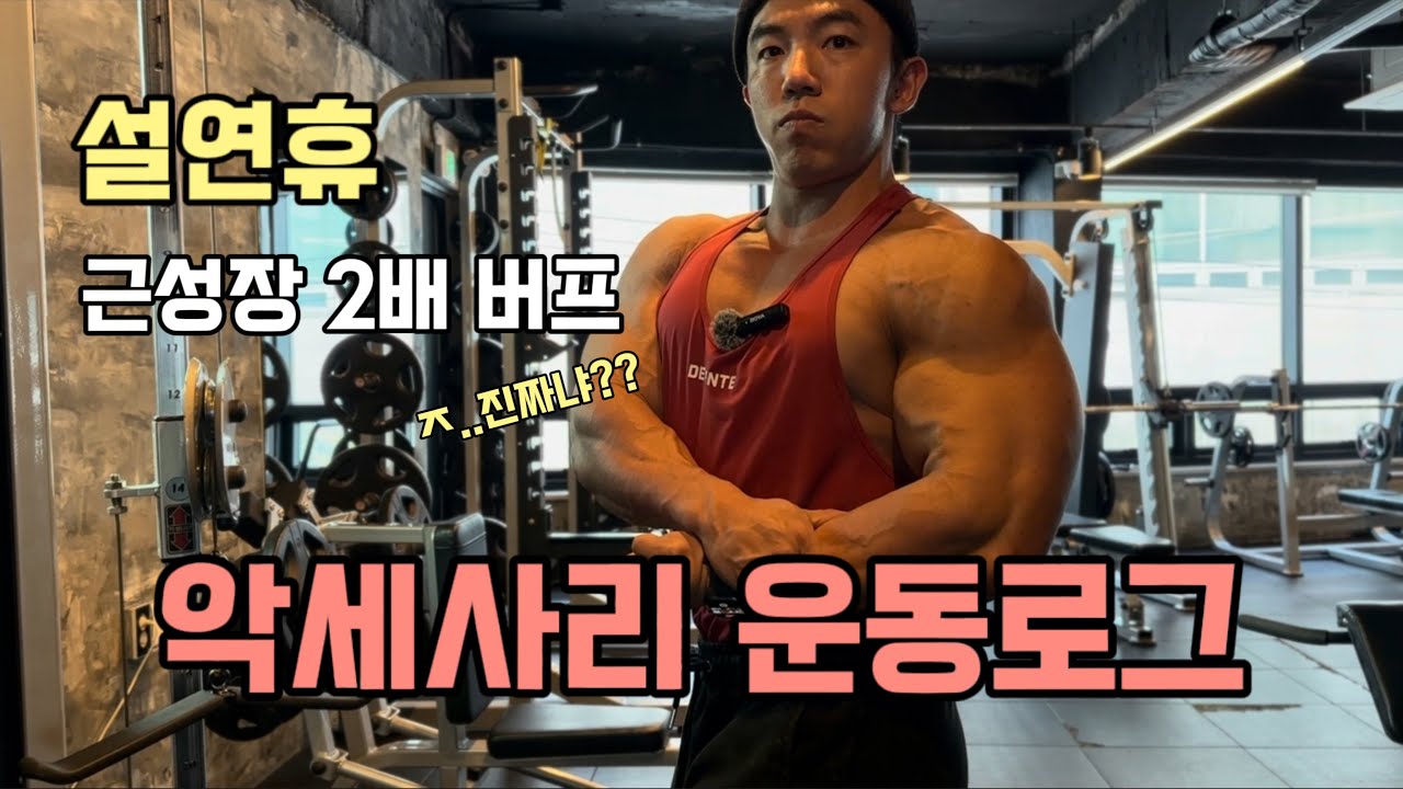 [한조바디] 설날 운동했습니다… #악세사리운동 #팔운동 #팔근육