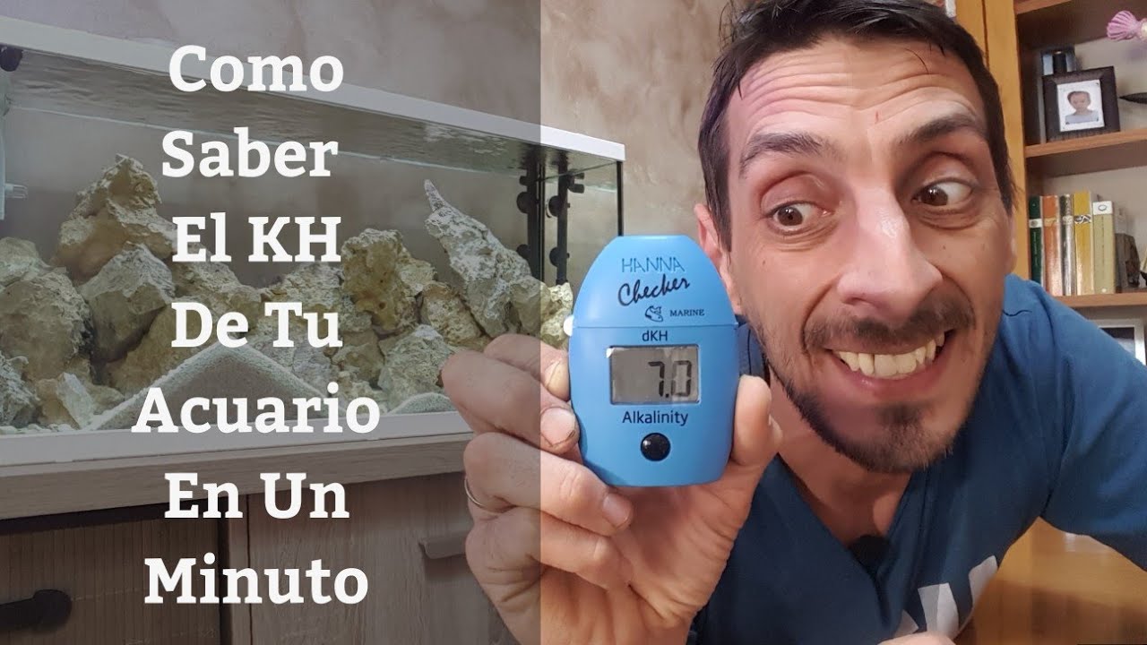 🔵 Como Saber El KH Del Acuario En Un Minuto, Medidor Digital De Kh Hanna Checker (Acuarios MB)