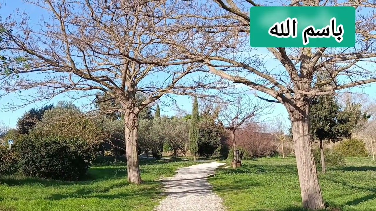 جولة ✅من✅ جولاتي💯 في 🔥الطبيعة 🌹👀🌹ممتعة