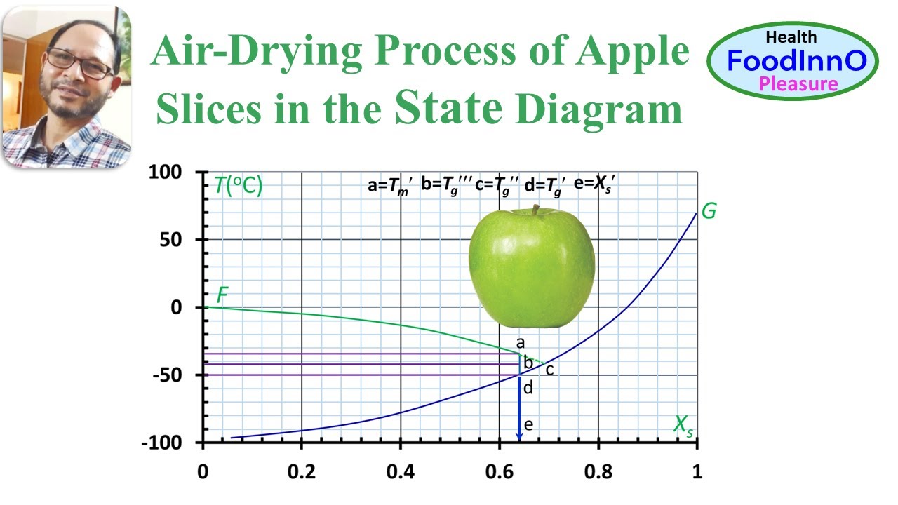 Air-drying Process of Apple Slices in the State Diagram