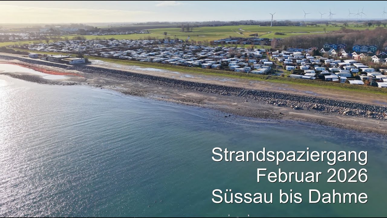 Süssau Rosenfelde Dahme Strandspaziergang Januar 2026 Ostholstein 4K