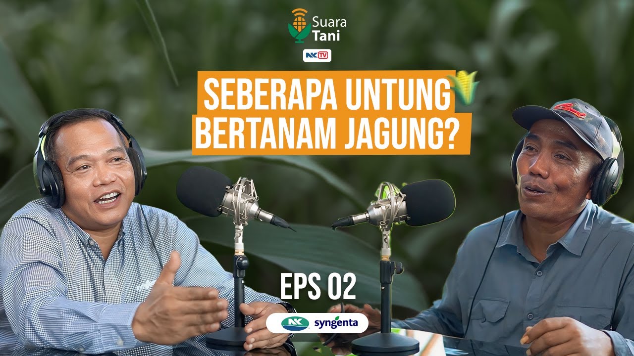 SUARA TANI | TANAM JAGUNG SEBERAPA UNTUNG? - EPISODE 2
