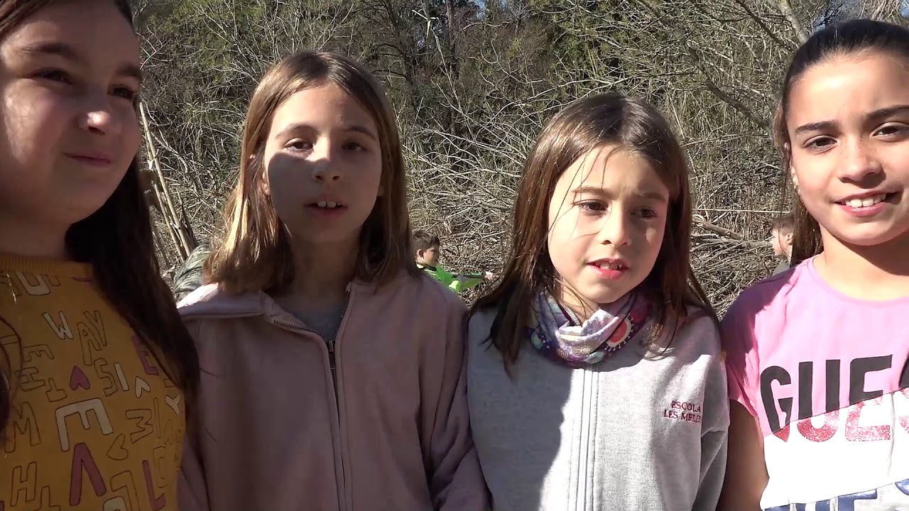 Alumnes de Les Mèlies netegen el Manol