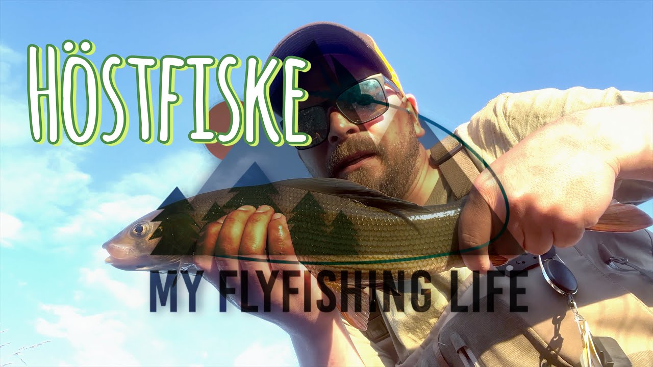 Autumn fishing for grayling in dalarna, sweden
