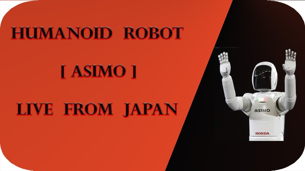 Humanoid robot 