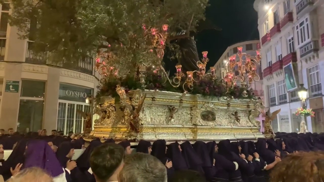 Huerto Málaga 2023 ( Domingo de Ramos )