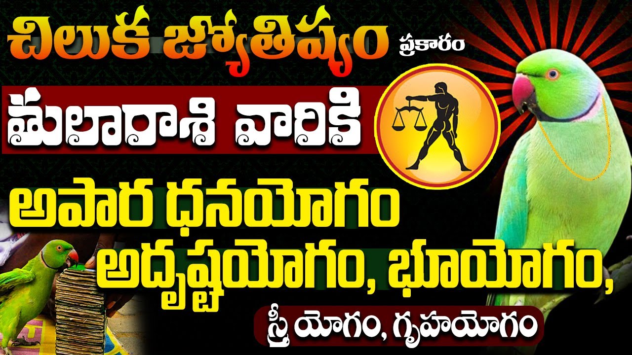అదృష్టయోగం Chilaka Jyotsyam Thula Rasi | Parrot Prediction 2024 | Parrot Libra Horoscope 2024