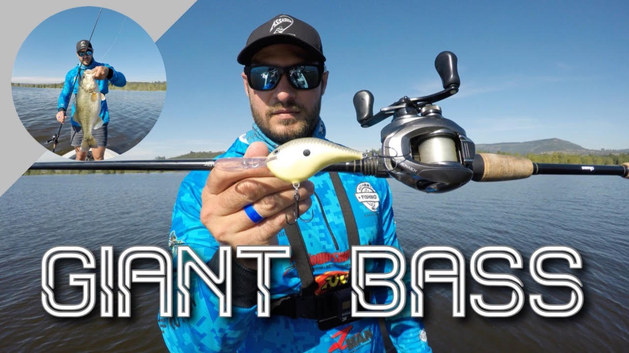 Catching GIANT BASS with Deep Diving Crankbaits during FALL at Albert Falls, South Africa