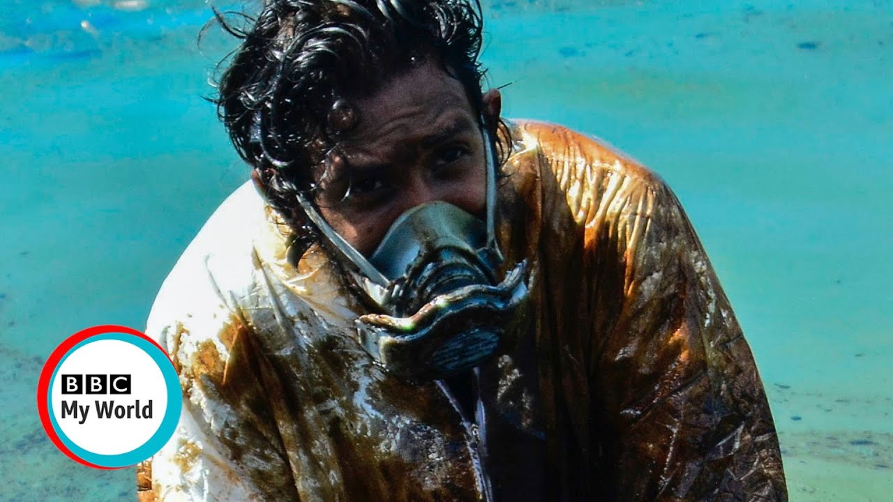 FIGHTING the oil spill in Mauritius - BBC My World
