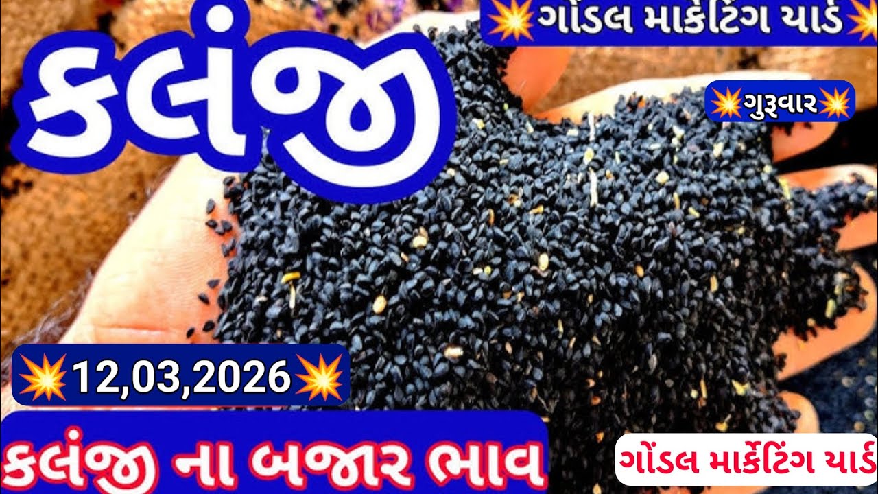 કલજી ના બજાર ભાવ / કલોજી ના તાજા બજાર ભાવ / ગોંડલ કલોંજી ના બજાર ભાવ / 12,03,2026