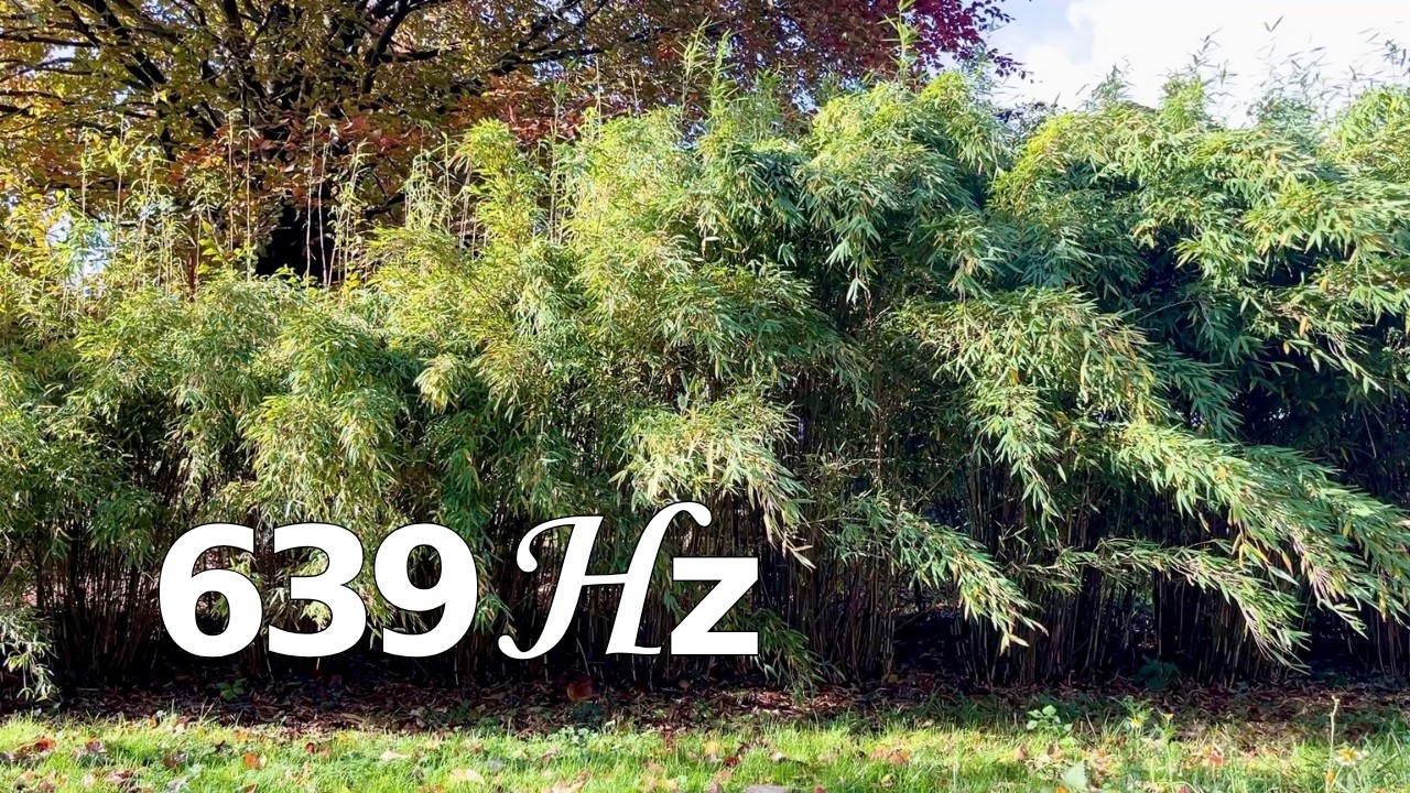 639 Hz Music 10 Min | Binaural 6 Hz | Bamboo Ambient