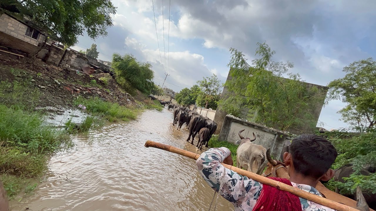 આજે સાપર ની સિમ બાજુ ગયા ને આયુષ ભાઈ મળી ગયા 