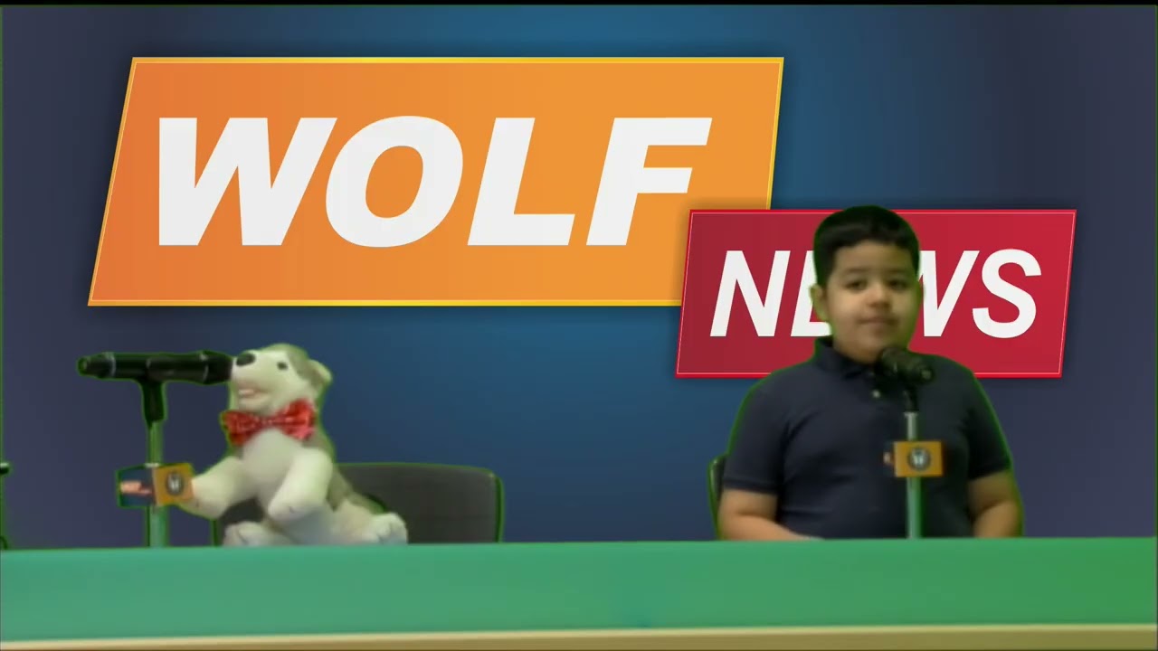 Wolf TV 01.09.2025