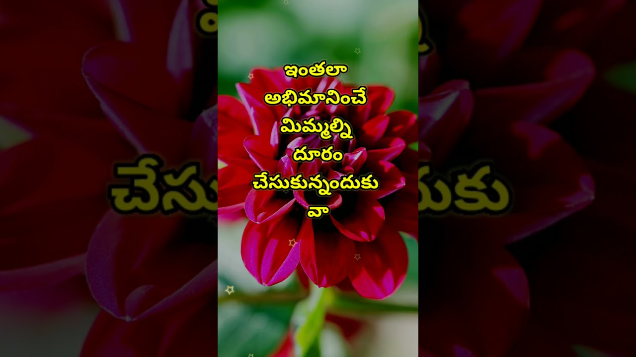 Manchi matalu #1168 | jeevitha satyalu | neethi vakyalu | telugu sukthulu | top matalu | quotations