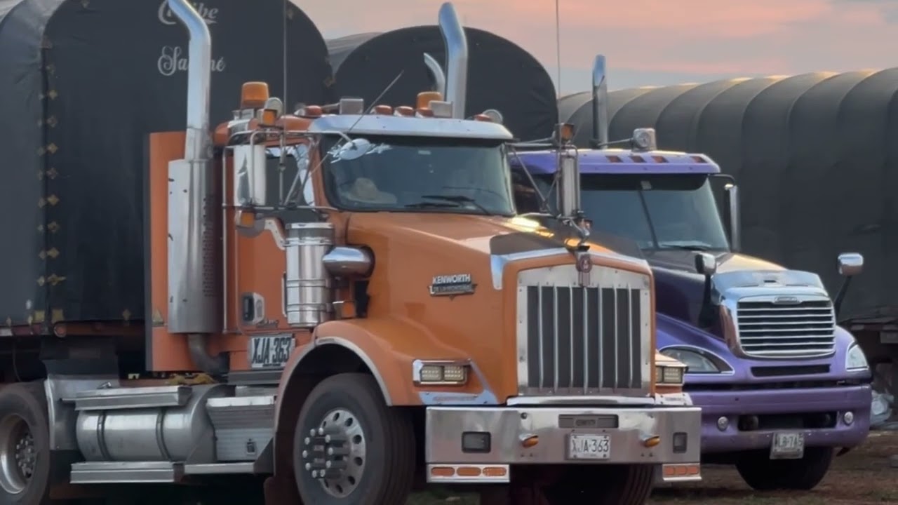 ¡Tardamos 4 DÍAS para cargar maíz con los Menonitas! 🌽🚛 Increíble espera y mal clima