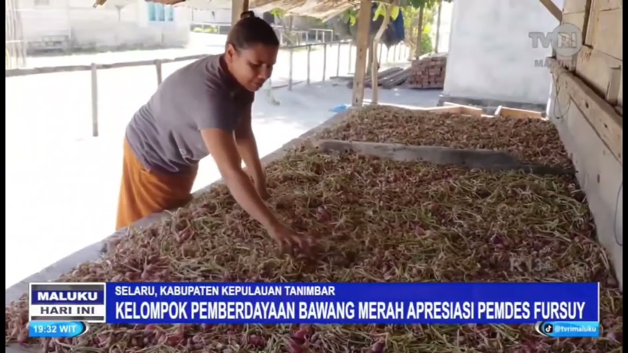 KELOMPOK PEMBERDAYAAN BAWANG MERAH APRESIASI PEMDES FURSUY