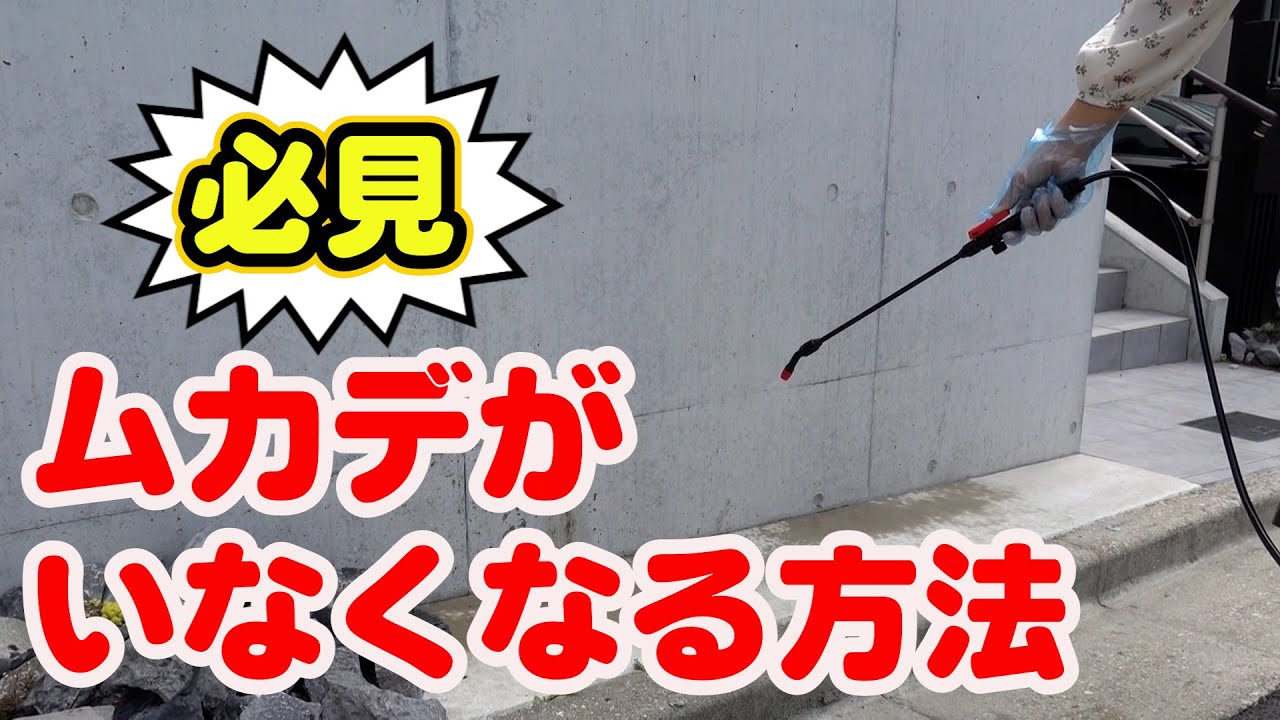 【ムカデ駆除】ムカデがいなくなる3つの方法教えます 要点を知ってムカデ対策 ムカデ嫌いな方必見【ムカデの画像は出てきません】