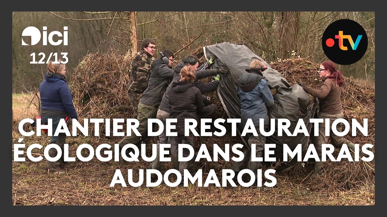 Un chantier-école pour restaurer le marais Audomarois