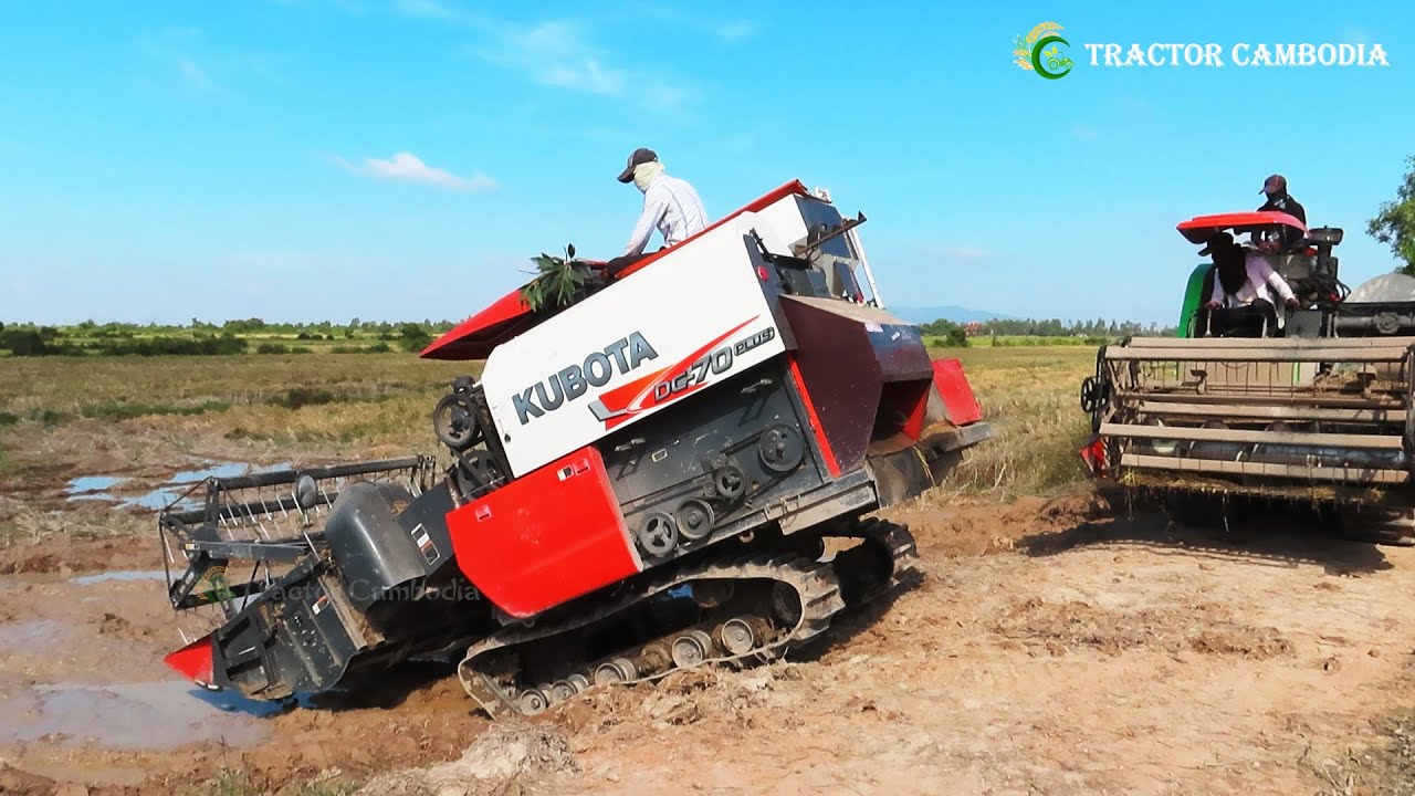 Wonderful Activities Harvester Machinery In Cambodia Harvest Rice By Farmers Use Kubota Harvester