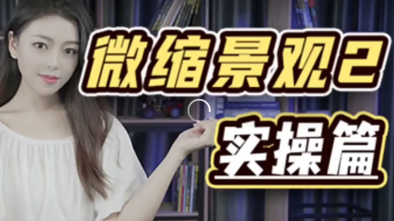 微景观修复，比光盘修复更暴利的情怀项目！微缩景观（2）实操篇！