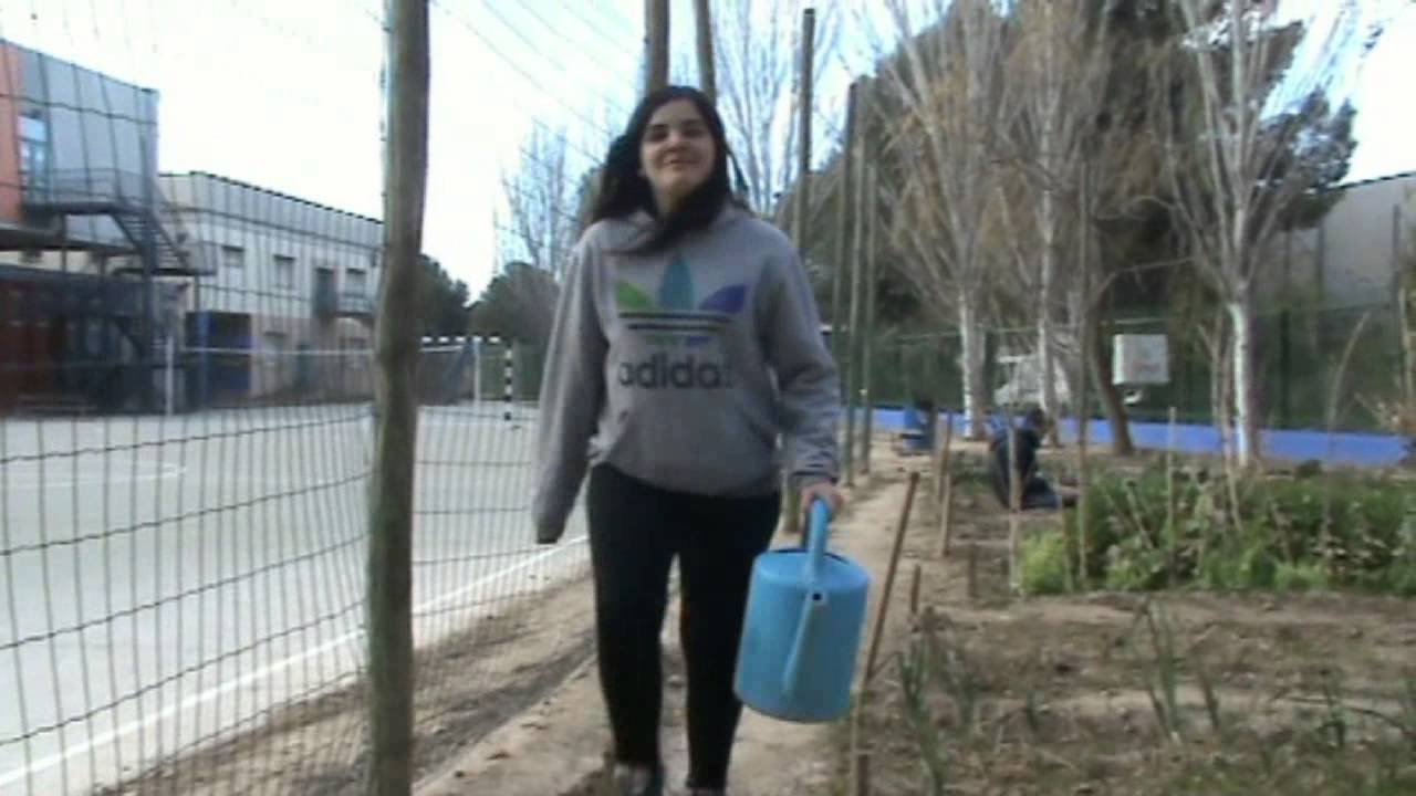 El huerto del IES Avempace