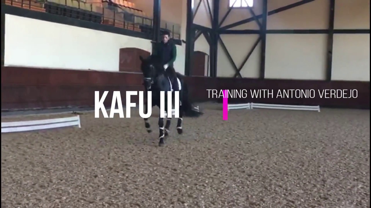 Kafu III Antonio Verdejo