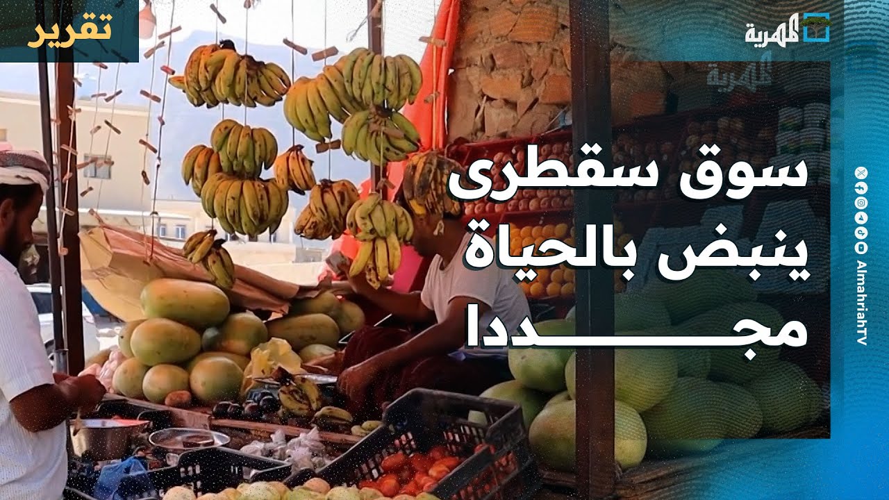 سوق سقطرى ينبض بالحياة مجددا مع عودة الخضروات والفواكه بعد انقطاع لأشهر