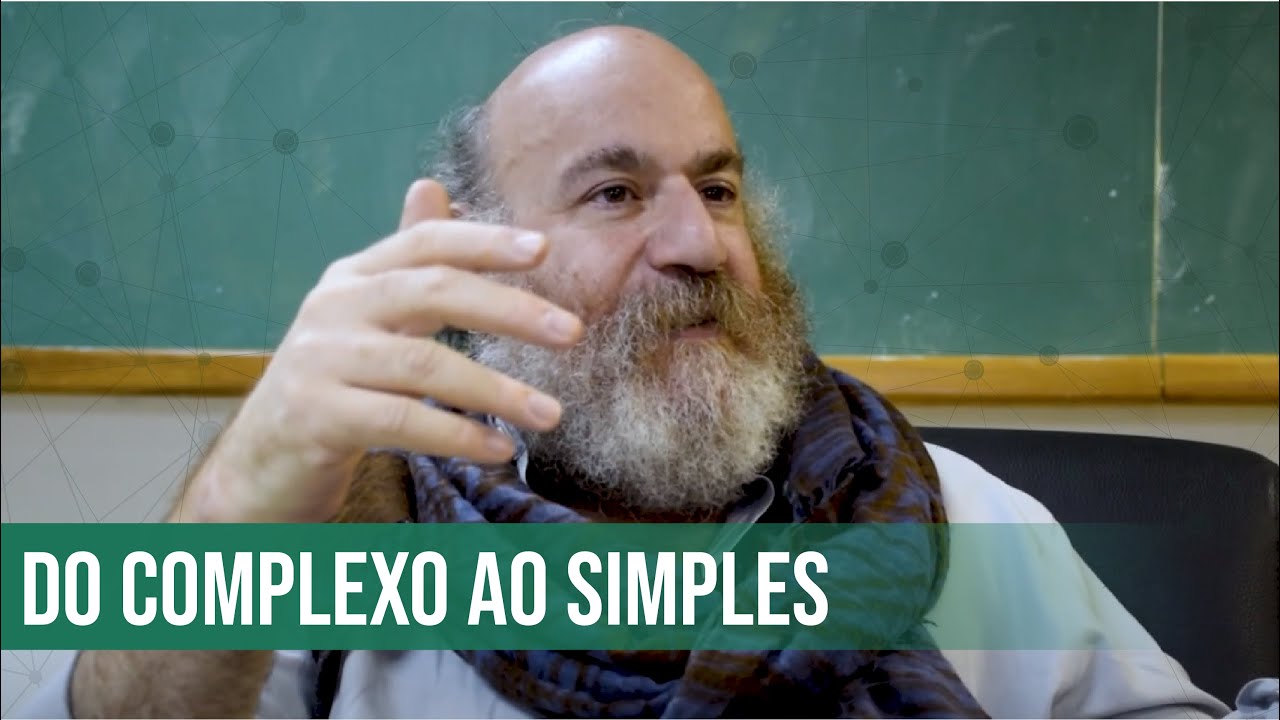 Como os Grupos de Renormaliza&ccedil;&atilde;o se aplicam aos neur&ocirc;nios?