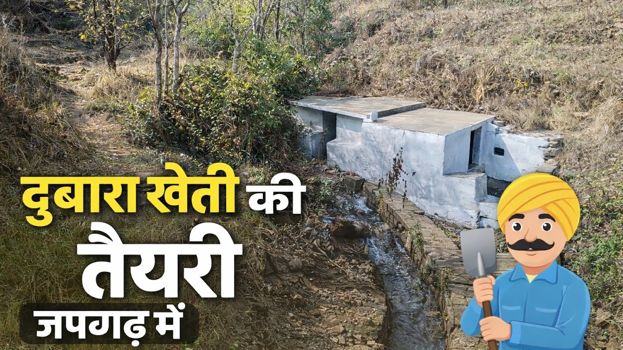 दुबारा खेती की तैयरी जपगढ़ में ( vlog 67 ) #trending #phadivibes #uttarakhand #phadilifestyle 