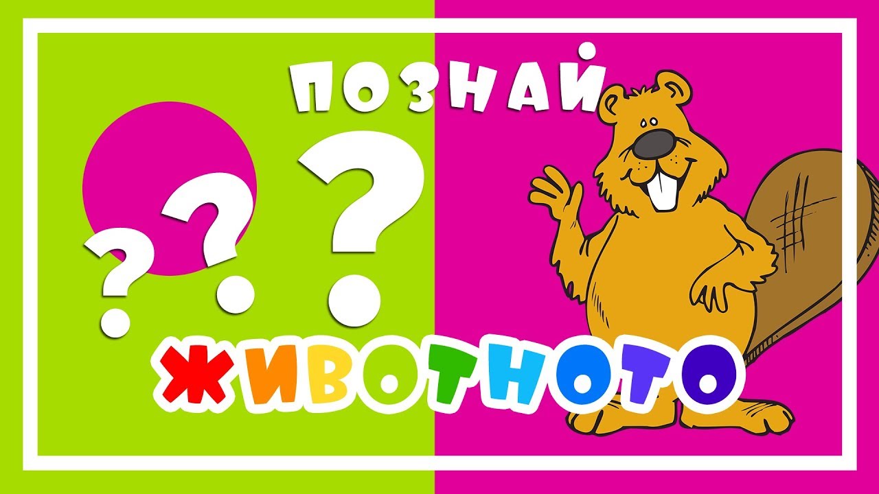 ПОЗНАЙ ЖИВОТНОТО (3) - динозавър 🦕, слонче 🐘, калинка 🐞, мече 🐻, пиленце 🐥 + още животни...