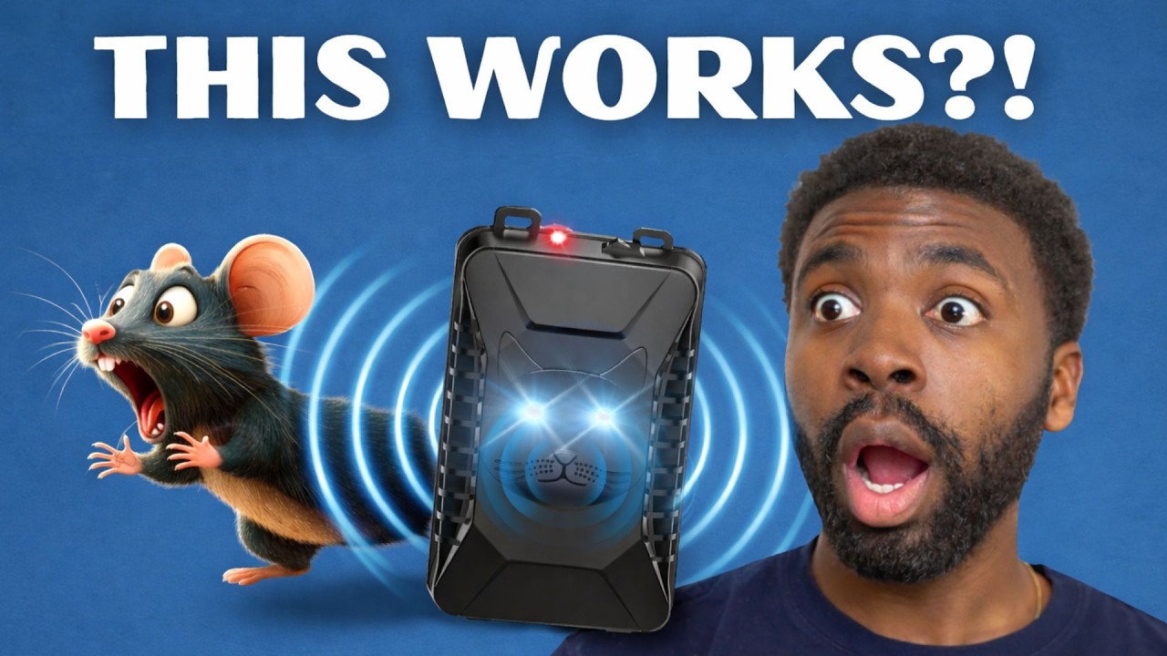 Do Ultrasonic Rat Repellents ACTUALLY Work? Let's Find Out!