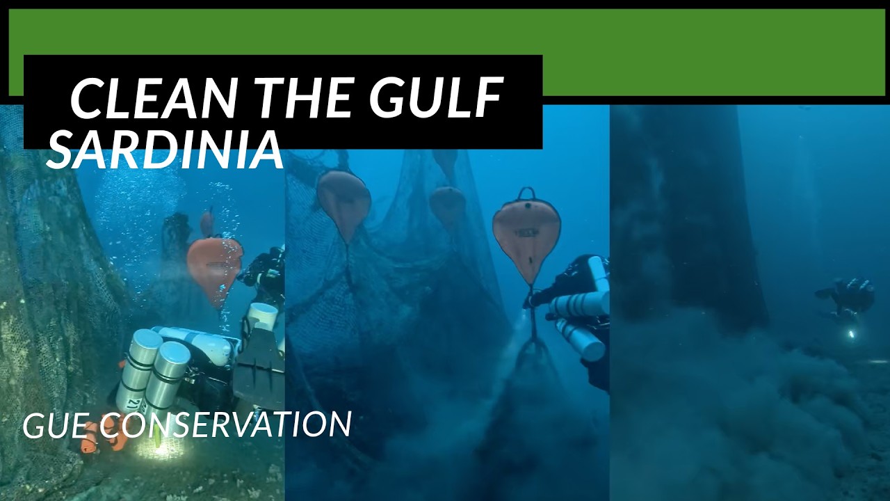 Clean the Gulf - Sardinia Conservation Project