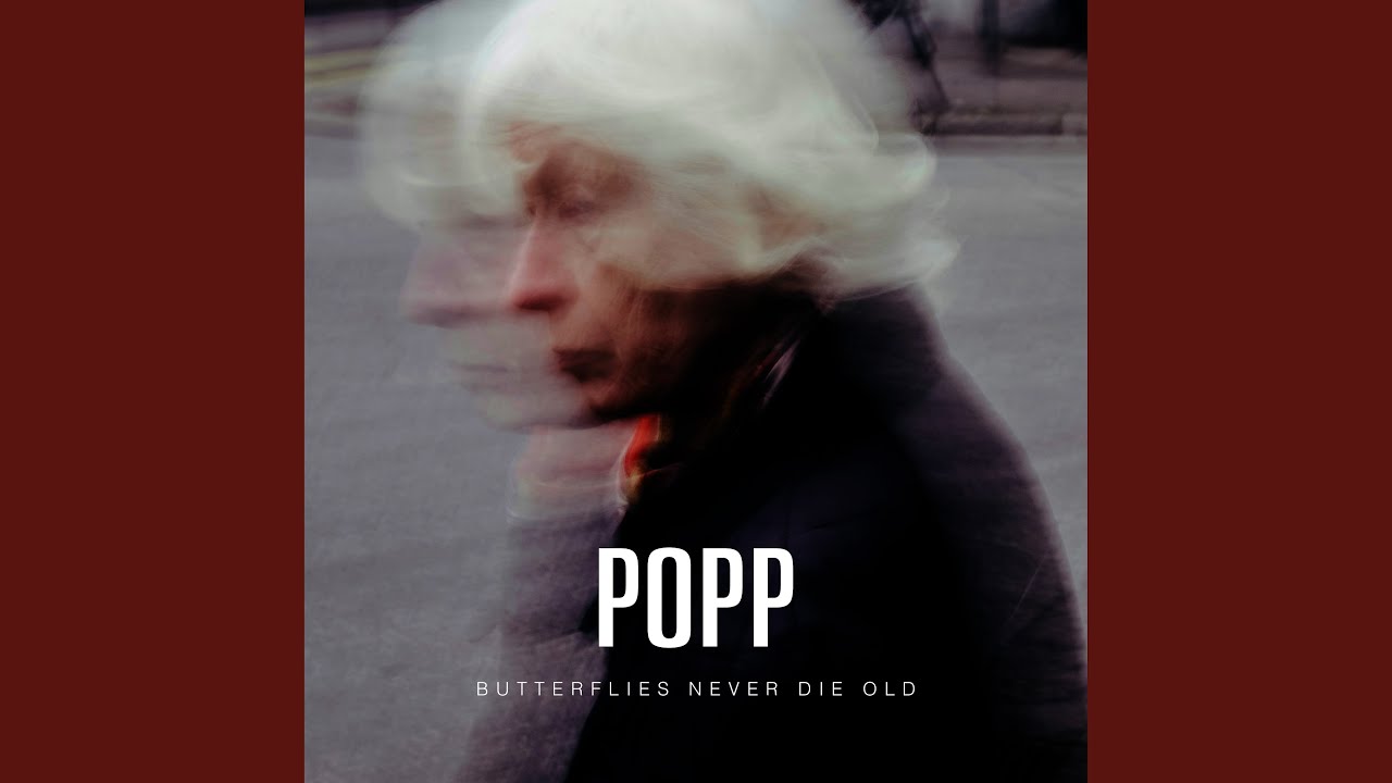 Butterflies Never Die Old