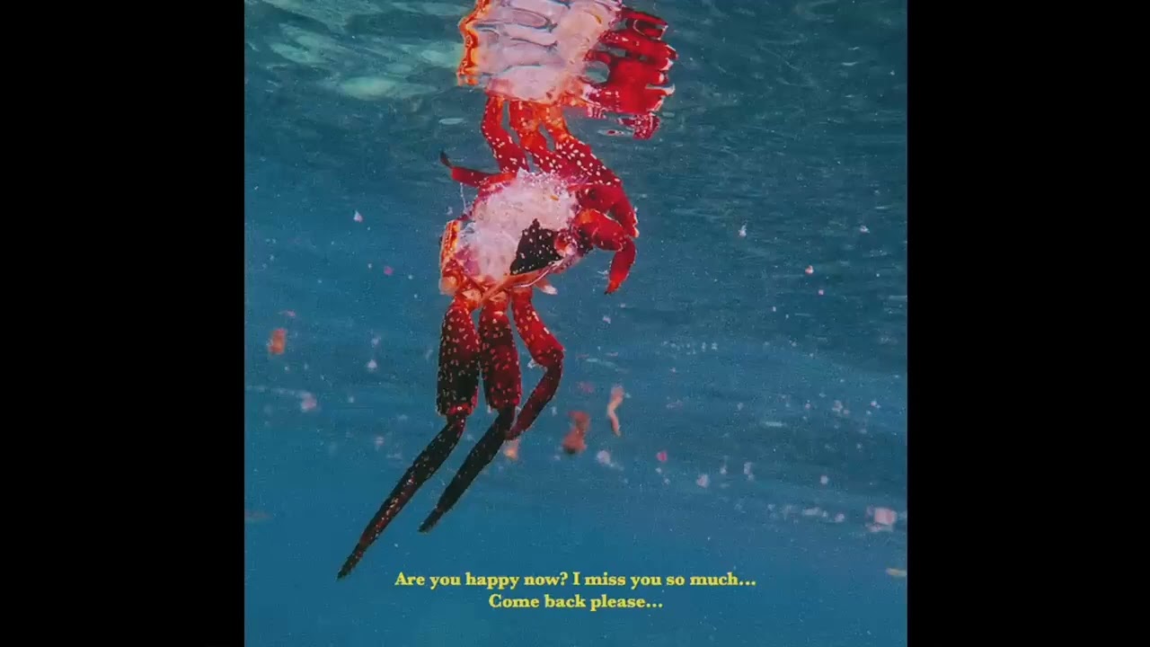Lee - Come Back Please (Slowed)