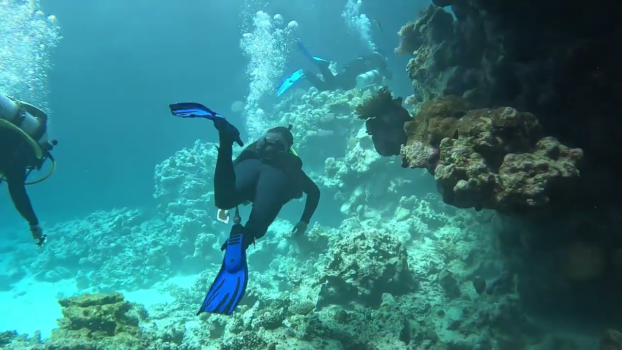 Saa’ab Sheer, Safaga, Egypt, 19 Feb 2026. Depth 19m. Time 47 minutes