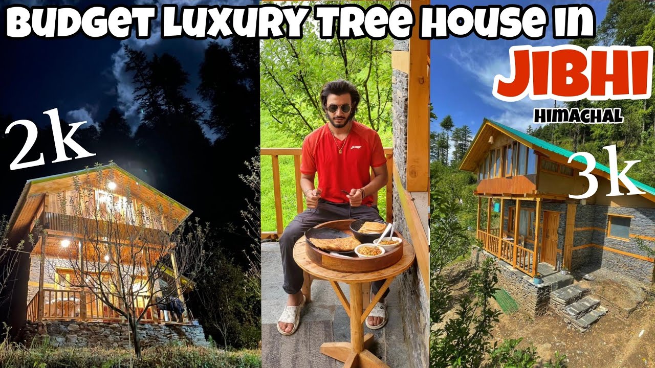 Amazing tree house in Jibhi , himachal | budget tree house | jibhi