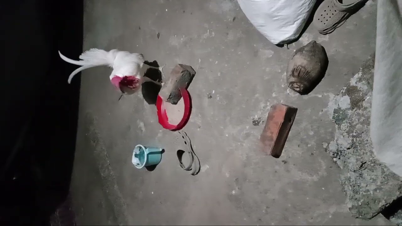 എന്നെ പുറത്താക്ക്