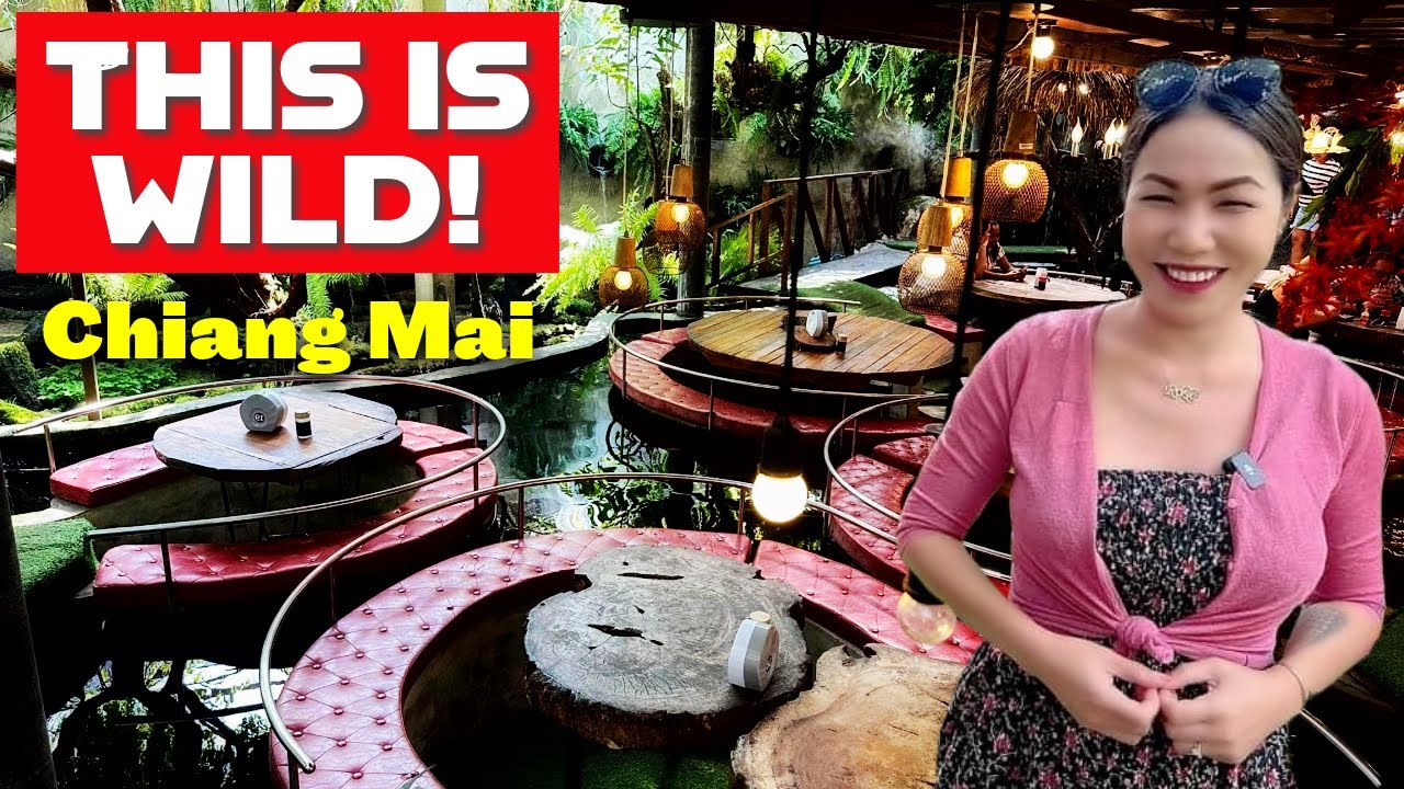 Carp Cafe in Chiang Mai - You Have To See This Unbelievable Fish Cafe!