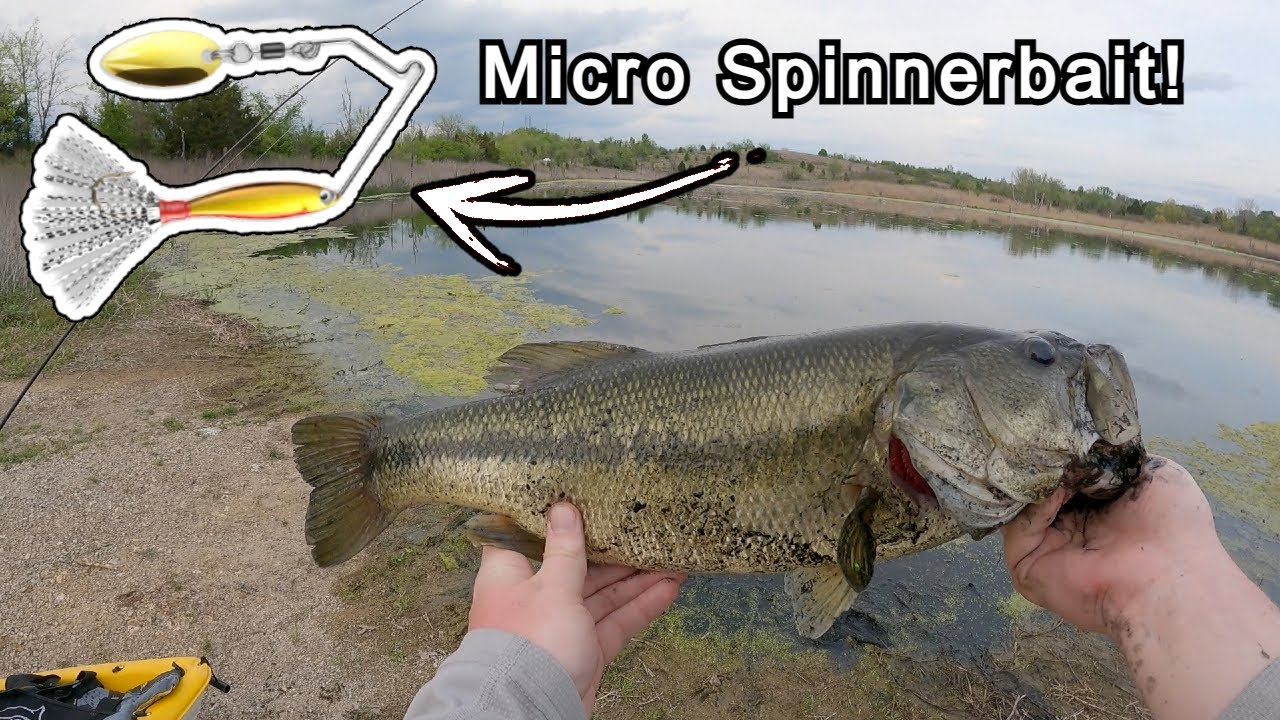 Fishing with a Micro Spinnerbait | Insane Results, Crazy Ending!