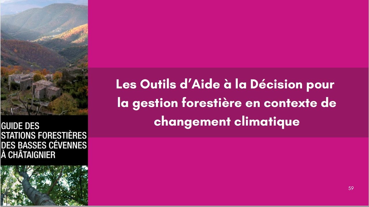 Les Outils d'Aide à la Décision pour la gestion forestière en contexte de changement climatique