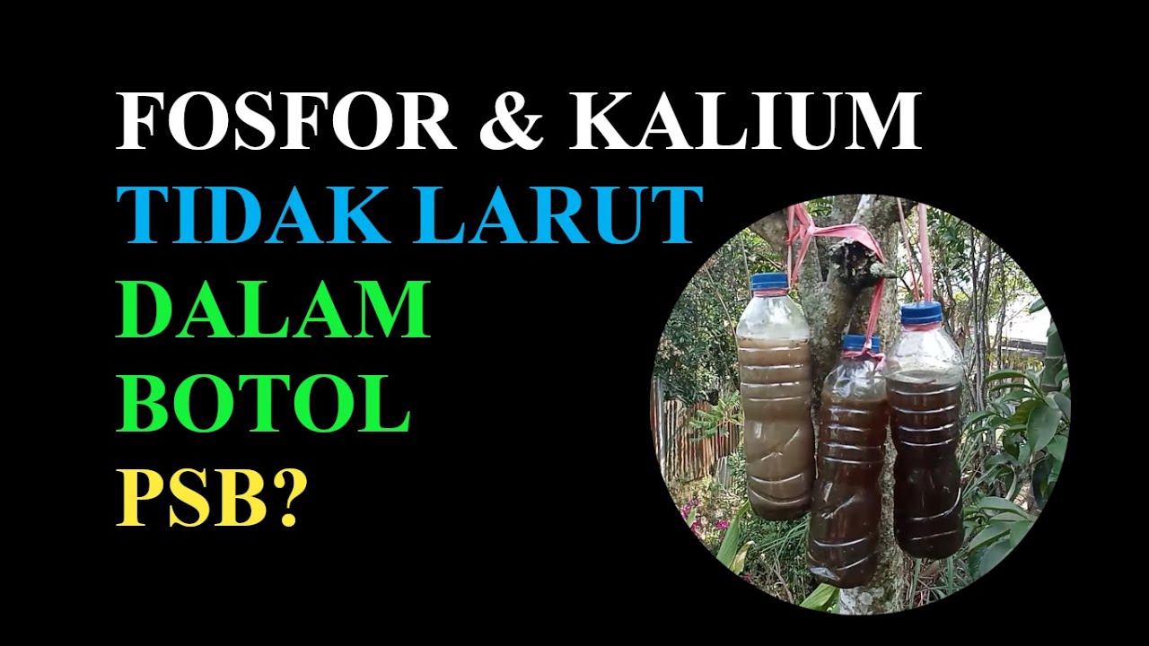 Jangan Salah, Tidak Semua PSB Bisa Melarutkan Posfor Dan Kalium