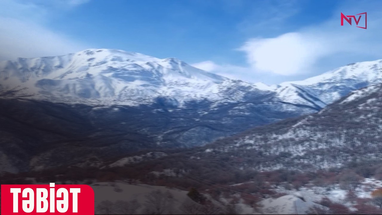 TƏBİƏT  04.02.2026