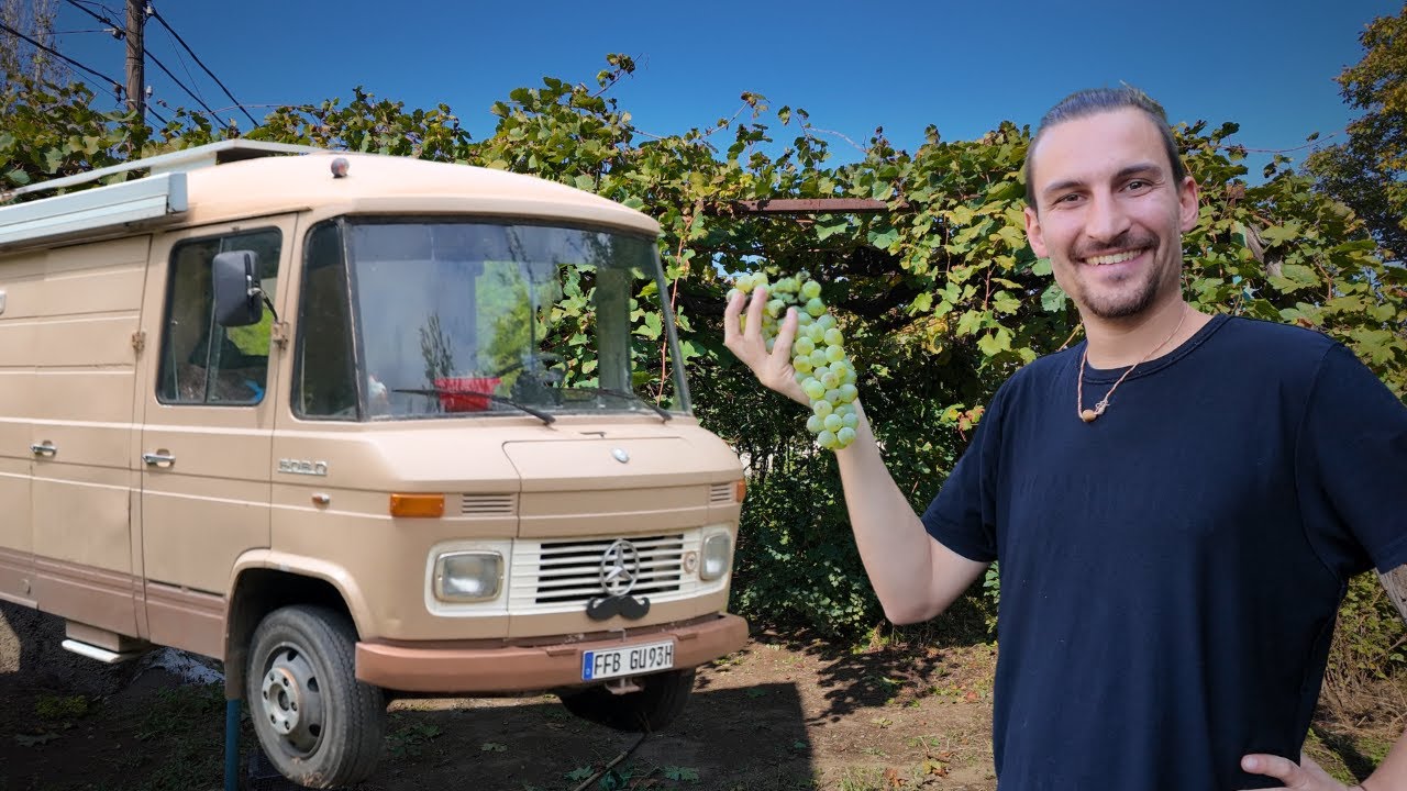 Weinernte in Georgien: Ich helfe bei der&nbsp;Herstellung!🍷
